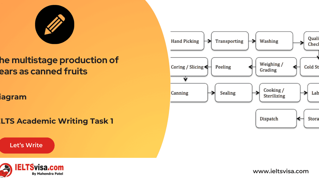 Task 1 – Diagram – The multistage production of pears as canned fruits