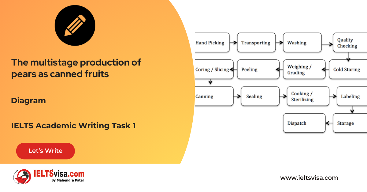 Task 1 – Diagram – The multistage production of pears as canned fruits