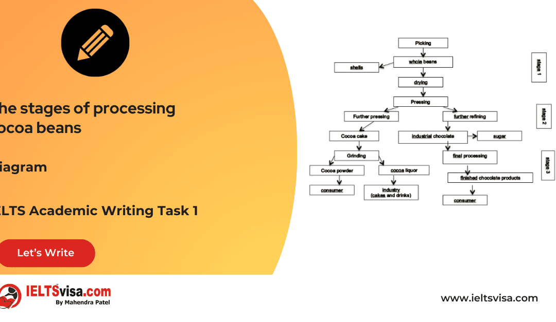 Task 1 – Diagram – The stages of processing cocoa beans