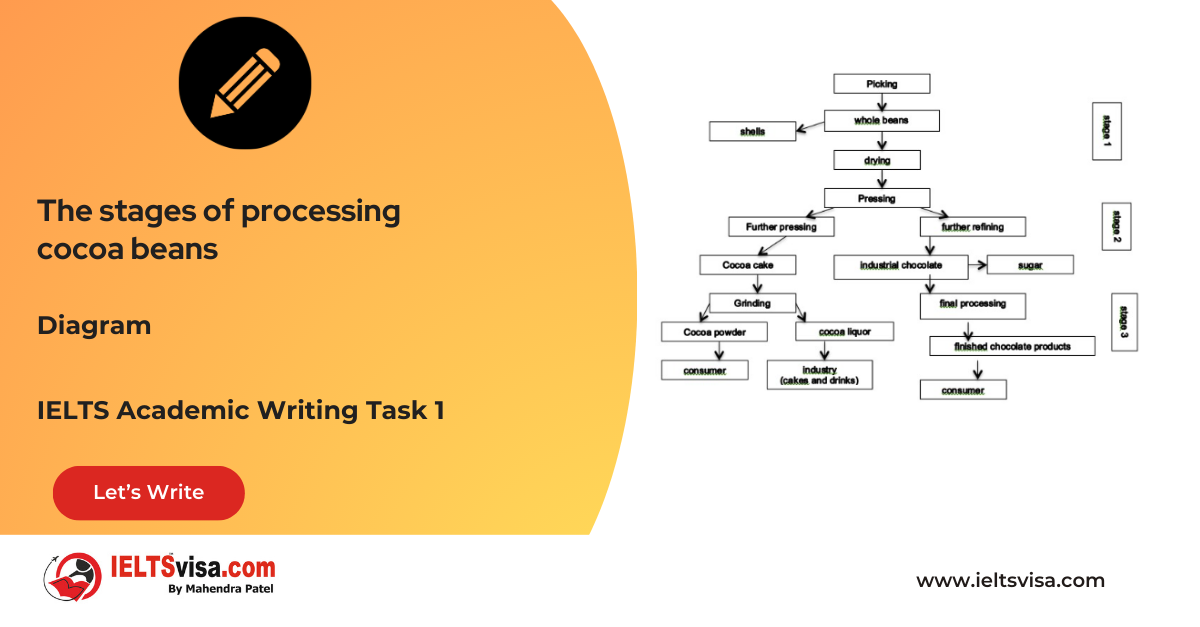 Task 1 – Diagram – The stages of processing cocoa beans